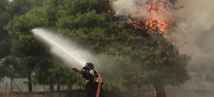 Σε εξέλιξη δυο μεγάλες φωτιές στη Φθιώτιδα -Καίγονται πεύκα στην Αταλάντη